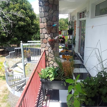 Chambre Avec Cuisine Et Sdb Semi-Privatives Separees Dans Un Ecrin De Verdure Les Abymes Zewnętrze zdjęcie