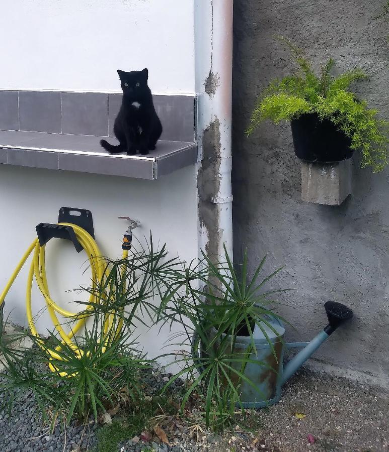 Chambre Avec Cuisine Et Sdb Semi-Privatives Separees Dans Un Ecrin De Verdure Les Abymes Zewnętrze zdjęcie